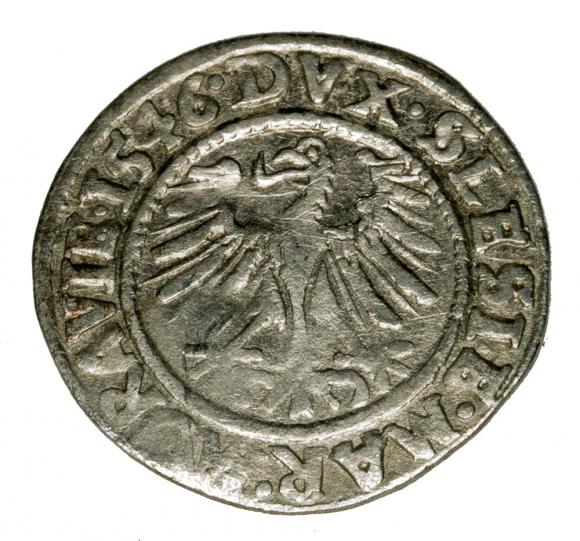 Groschen 1546 Ferdinand I Wroclaw (2)