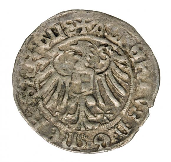 Groschen 1519 Albert of Prussia Teutonic Order Kaliningrad