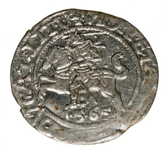 Half groschen 1564 Sigismund II Augustus Vilnius (1)