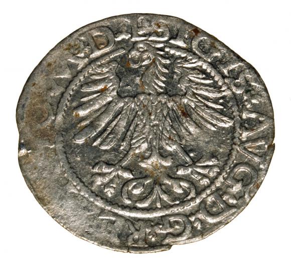 Half groschen 1564 Sigismund II Augustus Vilnius (2)