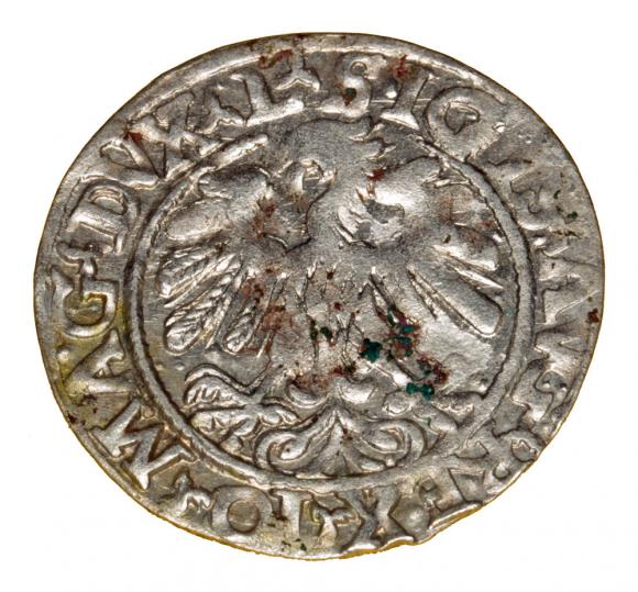 Half groschen 1559 Sigismund II Augustus Vilnius (2)