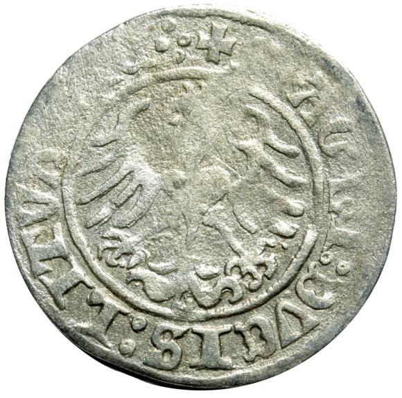 Half groschen 1513 Sigismund I the Old Vilnius