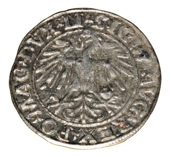 Half groschen 1548 Sigismund II Augustus Vilnius (2)