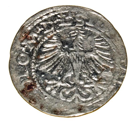 Half groschen 1564 Sigismund II Augustus Vilnius (2)