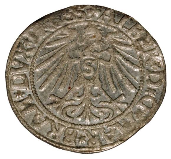 Groschen 1544 Albert of Prussia Duchy of Prussia Kaliningrad (2)