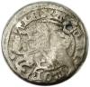 mini: Półgrosz Aleksander Jagiellończyk Wilno (1)