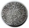 mini: Half groschen 1548 Sigismund II Augustus Vilnius (2)