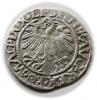 mini: Półgrosz 1559 Zygmunt II August Wilno (2)