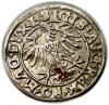 mini: Półgrosz 1556 Zygmunt II August Wilno (2)
