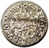 mini: Półgrosz 1556 Zygmunt II August Wilno (1)