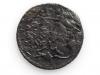 mini: Denar 1623 Zygmunt III Waza Łobżenica (2)
