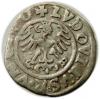 mini: Półgrosz 1526 Ludwik I Jagiellończyk Świdnica (2)
