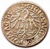mini: Half groschen 1547 Sigismund II Augustus Vilnius (2)