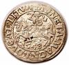 mini: Half groschen 1548 Sigismund II Augustus Vilnius (1)
