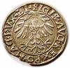 Half groschen 1556 Sigismund II Augustus Vilnius