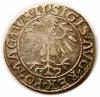 mini: Half groschen 1557 Sigismund II Augustus Vilnius (2)