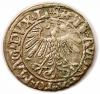 mini: Half groschen 1558 Sigismund II Augustus Vilnius (2)