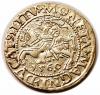 mini: Półgrosz 1560 Zygmunt II August Wilno (1)