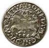 mini: Half groschen 1556 Sigismund II Augustus Vilnius (1)