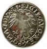 mini: Half groschen 1556 Sigismund II Augustus Vilnius (2)