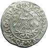 mini: Half groschen 1558 Sigismund II Augustus Vilnius (2)