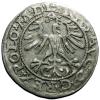 mini: Half groschen 1564 Sigismund II Augustus Vilnius (2)