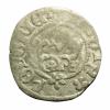 mini: Half groschen Casimir IV Jagiellon Krakow (1)