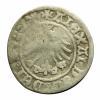 mini: Half groschen Alexander Jagiellon Krakow (2)