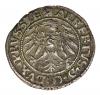 mini: Schilling 1531 Albert of Prussia Duchy of Prussia Kaliningrad (2)
