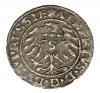 mini: Schilling 1531 Albert of Prussia Duchy of Prussia Kaliningrad (2)