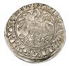 mini: Half groschen 1559 Sigismund II Augustus Lithuania Vilnius (2)