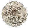 mini: Half groschen 1560 Sigismund II Augustus Lithuania Vilnius (2)