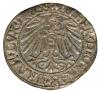 mini: Groschen 1544 Albert of Prussia Duchy of Prussia Kaliningrad (2)