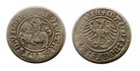 Picture for: Półgrosz Zygmunt I Stary Wilno