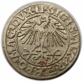 Picture 2 for: Półgrosz 1549 Zygmunt II August Wilno