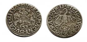 Picture for: Półgrosz 1550 Zygmunt II August Wilno