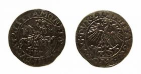 Picture for: Półgrosz 1555 Zygmunt II August Wilno