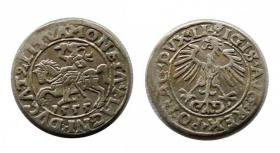 Picture for: Półgrosz 1555 Zygmunt II August Wilno