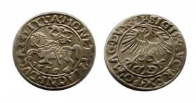 Picture for: Półgrosz 1556 Zygmunt II August Wilno