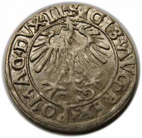 Picture 2 for: Półgrosz 1556 Zygmunt II August Wilno