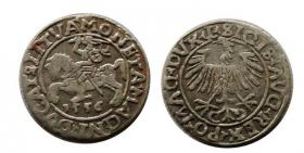 Picture for: Half groschen 1556 Sigismund II Augustus Vilnius