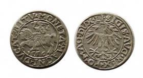 Picture for: Half groschen 1556 Sigismund II Augustus Vilnius