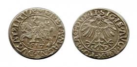 Picture for: Półgrosz 1557 Zygmunt II August Wilno