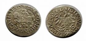 Picture for: Half groschen 1558 Sigismund II Augustus Vilnius