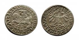 Picture for: Półgrosz 1558 Zygmunt II August Wilno