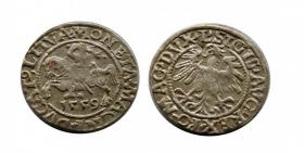 Picture for: Półgrosz 1559 Zygmunt II August Wilno