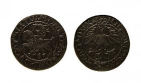 Picture for: Półgrosz 1561 Zygmunt II August Wilno