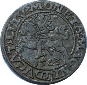 Picture for: Half groschen 1563 Sigismund II Augustus Vilnius