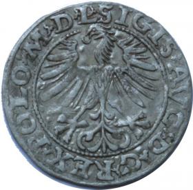 Picture 2 for: Half groschen 1563 Sigismund II Augustus Vilnius