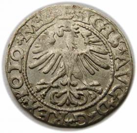 Picture 2 for: Półgrosz 1564 Zygmunt II August Wilno